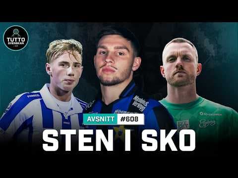 TUTTOSVENSKAN - STEN I SKO #608